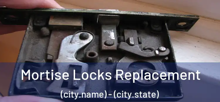 Mortise Locks Replacement (city.name) - (city.state)